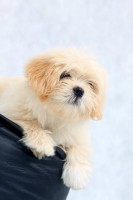 /album/max/ogaaafzonphiz99biq8xj59nlenyto-pqkmxjv7uk-zddici1rozh1buydh8twdhm5thvtcryrik33hidojxyig8iw8am1t1ud-a1qensnniyuvldtbesgtlj4ml-jpg/