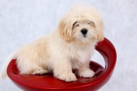 /album/max/ogaaaepv-sezxpulb689-reznjeqondzgl-vu4dwfmhlyiumnor1ciutunn8m-8hfjmsrsozclahzmyintrijdznm5oam1t1unmjuuhjvlpkvyqq-galljnpmudt-jpg/