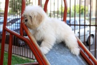 /album/max/ogaaahkeeaawsdnj2kjissyyvntxbrd8o5mdywbn04sqajy2m4-atdliodem3-cc2iqsm2pbqwgmfniqpzbkfpisqmiam1t1uoi2dk-tqd7hgfu8gyjjwutn4ylf-jpg/