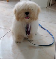 /album/max/ogaaaco-rtcfsv-4zn5ccoaw9rc3cddkdxw3m-kqejdwiksipyuuw50agtxhenjeciamvxj-3unzvan3cctgxit3ut8am1t1ubl1sbdxinud8vjacobpedwymzn7-jpg/