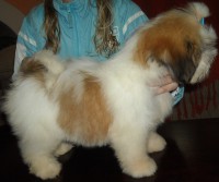 /album/ven%c3%a2ncio/ven%c3%a2ncio4-jpg/